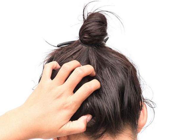 養腎補氣血是增強發質的中醫的好方法 養腎補氣血是增強發質的中醫的好方法