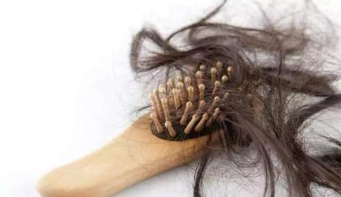 告別夏日頭發油膩感，儷真8大養護攻略讓毛發蓬松自然